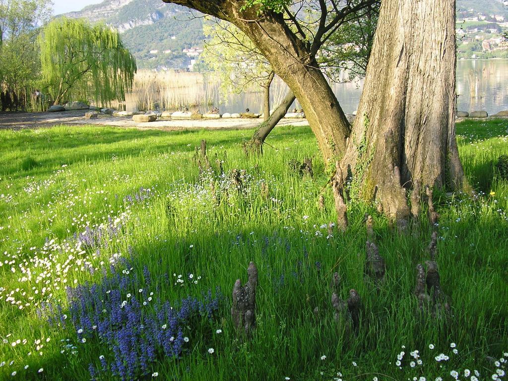 Relais Di Villa Adinolfi Annone di Brianza 外观 照片